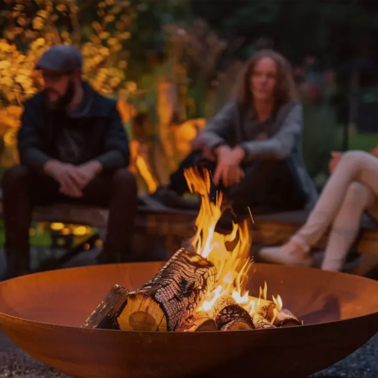 fire pit braai combo
